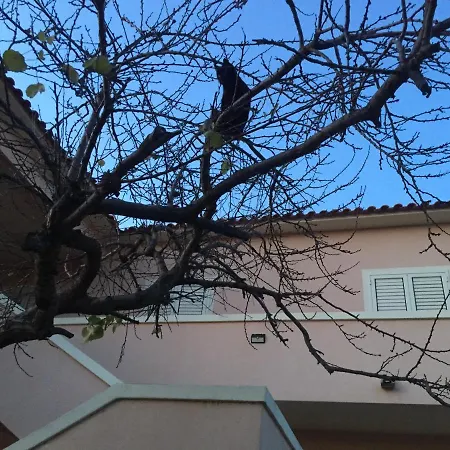 Sardegna Et Soleil In