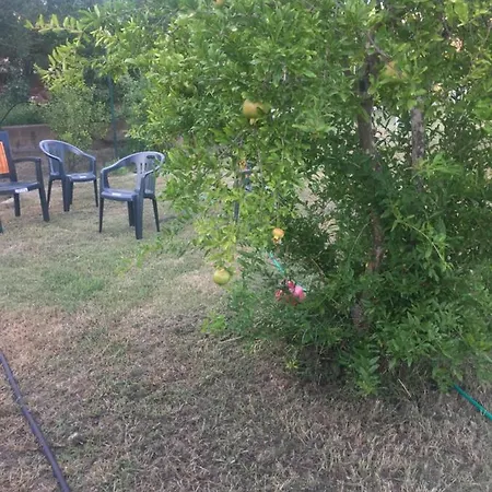 شقة Sardegna Et Soleil In أولبيا