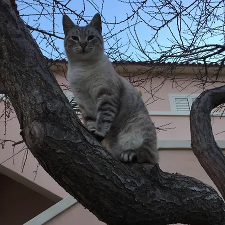 Sardegna Et Soleil In شقة *