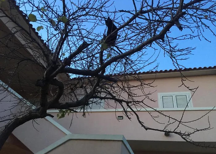 Sardegna Et Soleil In