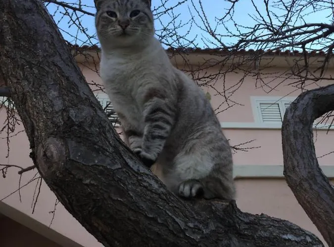 Sardegna Et Soleil In Appartement *